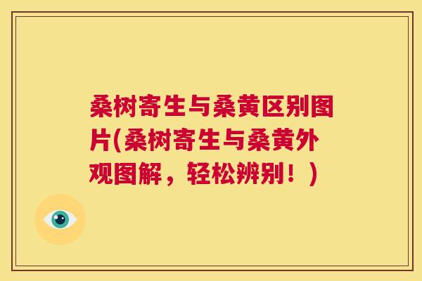 桑树寄生与桑黄区别图片(桑树寄生与桑黄外观图解,轻松辨别!) 桑树寄生与桑黄区别图片(桑树寄生与桑黄外观图解,轻松辨别!)