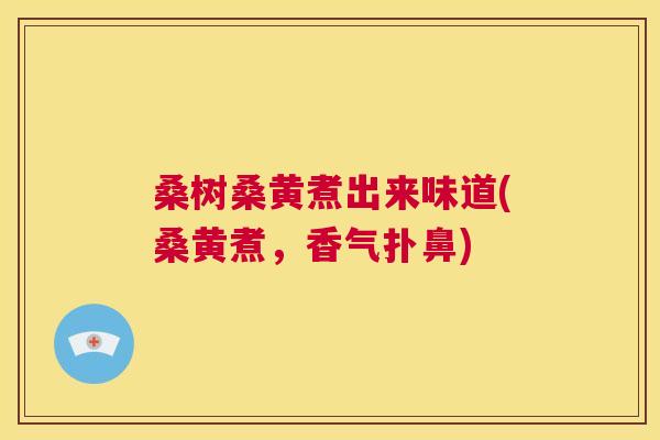 桑树桑黄煮出来味道(桑黄煮,香气扑鼻) 桑树桑黄煮出来味道(桑黄煮,香气扑鼻)