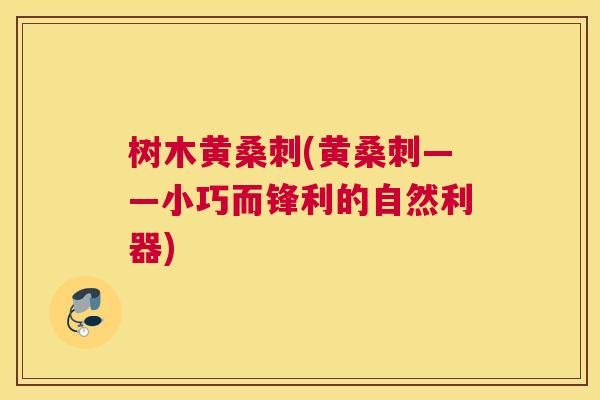 树木黄桑刺(黄桑刺——小巧而锋利的自然利器) 树木黄桑刺(黄桑刺——小巧而锋利的自然利器)