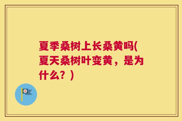 夏季桑树上长桑黄吗(夏天桑树叶变黄,是为什么?) 夏季桑树上长桑黄吗(夏天桑树叶变黄,是为什么?)