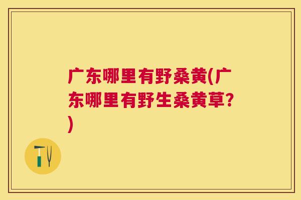 广东哪里有野桑黄(广东哪里有野生桑黄草?) 广东哪里有野桑黄(广东哪里有野生桑黄草?)