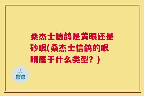 桑杰士信鸽是黄眼还是砂眼(桑杰士信鸽的眼睛属于什么类型?) 桑杰士信鸽是黄眼还是砂眼(桑杰士信鸽的眼睛属于什么类型?)