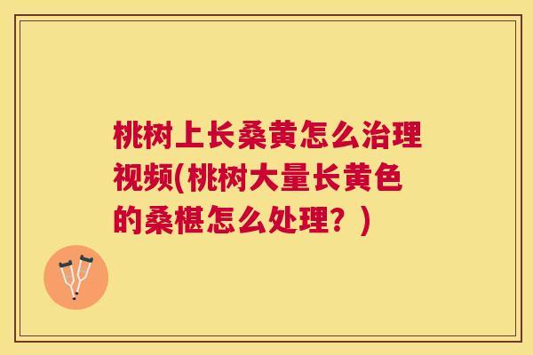 桃树上长桑黄怎么理视频(桃树大量长黄色的桑椹怎么处理?) 桃树上长桑黄怎么理视频(桃树大量长黄色的桑椹怎么处理?)