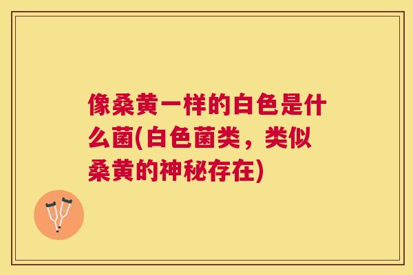 像桑黄一样的白色是什么菌(白色菌类,类似桑黄的神秘存在) 像桑黄一样的白色是什么菌(白色菌类,类似桑黄的神秘存在)