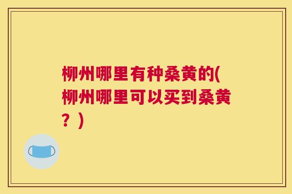 柳州哪里有种桑黄的(柳州哪里可以买到桑黄？)
