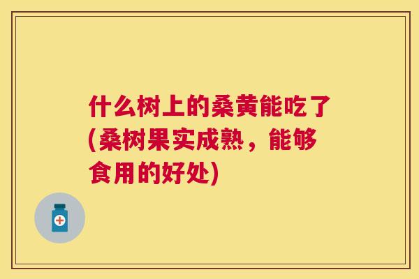 什么树上的桑黄能吃了(桑树果实成熟,能够食用的好处) 什么树上的桑黄能吃了(桑树果实成熟,能够食用的好处)