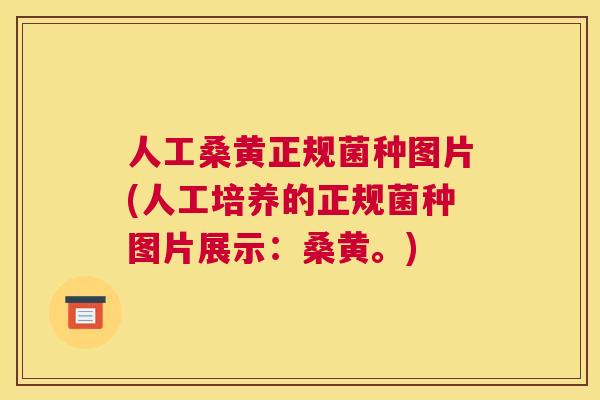 人工桑黄正规菌种图片(人工培养的正规菌种图片展示:桑黄。) 人工桑黄正规菌种图片(人工培养的正规菌种图片展示:桑黄。)