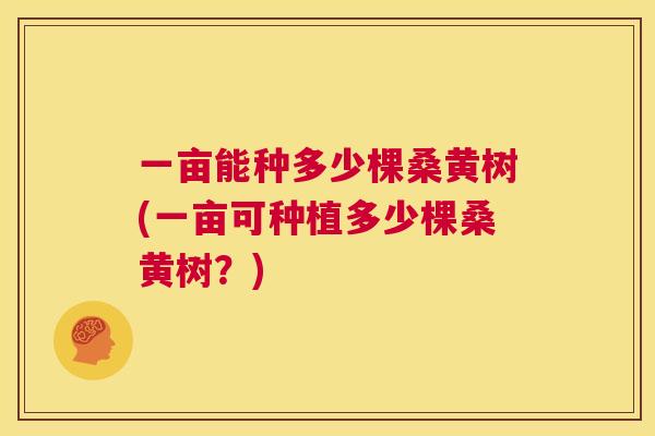 一亩能种多少棵桑黄树(一亩可种植多少棵桑黄树?) 一亩能种多少棵桑黄树(一亩可种植多少棵桑黄树?)