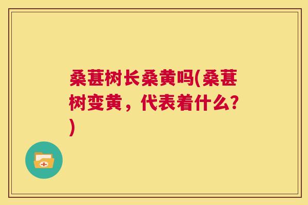 桑葚树长桑黄吗(桑葚树变黄,代表着什么?) 桑葚树长桑黄吗(桑葚树变黄,代表着什么?)