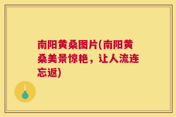 南阳黄桑图片(南阳黄桑美景惊艳，让人流连忘返)