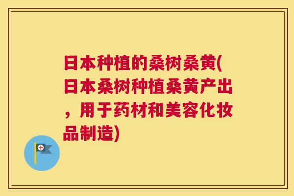 日本种植的桑树桑黄(日本桑树种植桑黄产出,用于药材和美容化妆品制造) 日本种植的桑树桑黄(日本桑树种植桑黄产出,用于药材和美容化妆品制造)