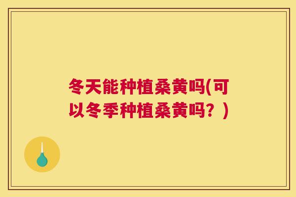 冬天能种植桑黄吗(可以冬季种植桑黄吗?) 冬天能种植桑黄吗(可以冬季种植桑黄吗?)