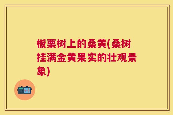 板栗树上的桑黄(桑树挂满金黄果实的壮观景象)