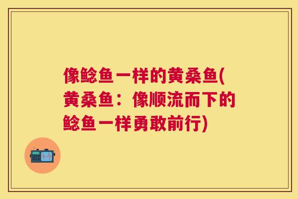 像鲶鱼一样的黄桑鱼(黄桑鱼:像顺流而下的鲶鱼一样勇敢前行) 像鲶鱼一样的黄桑鱼(黄桑鱼:像顺流而下的鲶鱼一样勇敢前行)