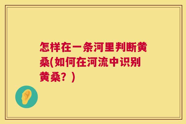 怎样在一条河里判断黄桑(如何在河流中识别黄桑?) 怎样在一条河里判断黄桑(如何在河流中识别黄桑?)