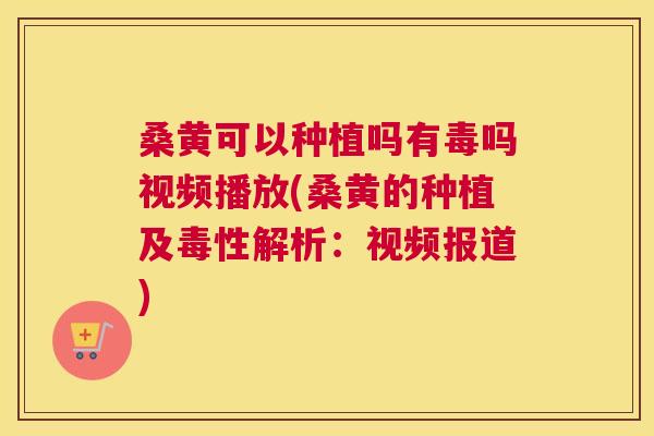 桑黄可以种植吗有毒吗视频播放(桑黄的种植及毒性解析:视频报道) 桑黄可以种植吗有毒吗视频播放(桑黄的种植及毒性解析:视频报道)