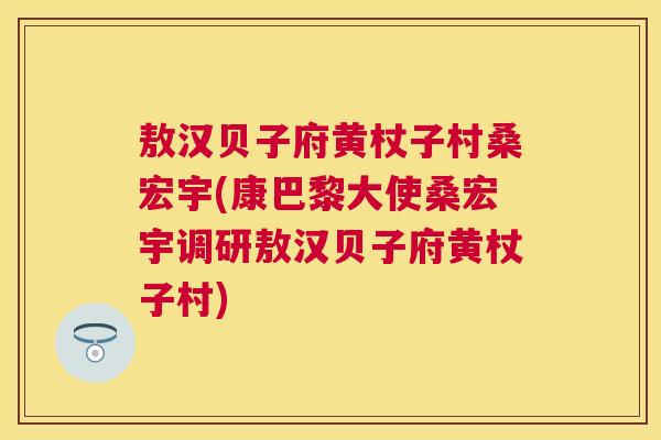 敖汉贝子府黄杖子村桑宏宇(康巴黎大使桑宏宇调研敖汉贝子府黄杖子村) 敖汉贝子府黄杖子村桑宏宇(康巴黎大使桑宏宇调研敖汉贝子府黄杖子村)