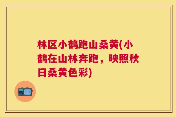 林区小鹤跑山桑黄(小鹤在山林奔跑,映照秋日桑黄色彩) 林区小鹤跑山桑黄(小鹤在山林奔跑,映照秋日桑黄色彩)
