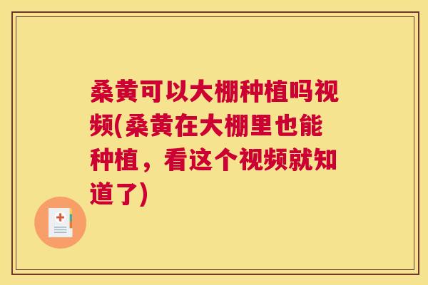 桑黄可以大棚种植吗视频(桑黄在大棚里也能种植,看这个视频就知道了) 桑黄可以大棚种植吗视频(桑黄在大棚里也能种植,看这个视频就知道了)