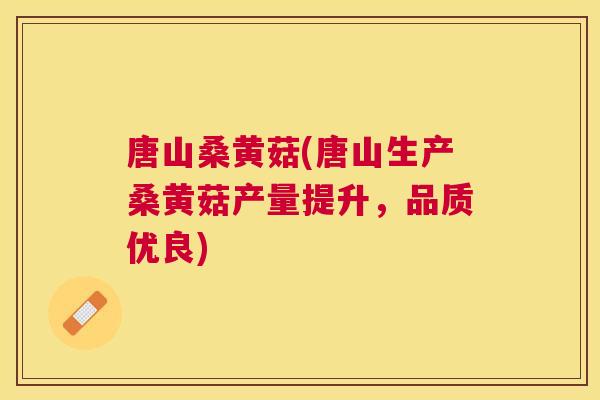 唐山桑黄菇(唐山生产桑黄菇产量提升,品质优良) 唐山桑黄菇(唐山生产桑黄菇产量提升,品质优良)