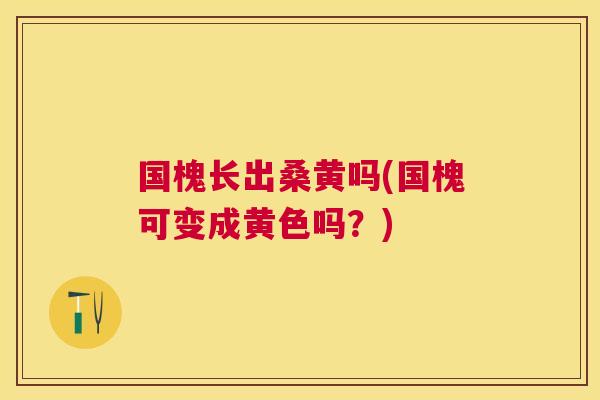国槐长出桑黄吗(国槐可变成黄色吗?) 国槐长出桑黄吗(国槐可变成黄色吗?)