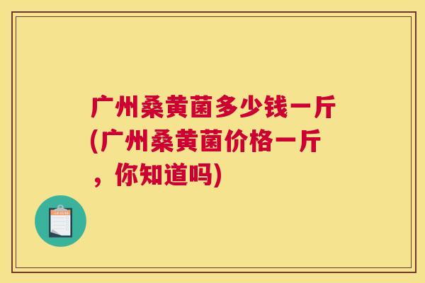 广州桑黄菌多少钱一斤(广州桑黄菌价格一斤，你知道吗)