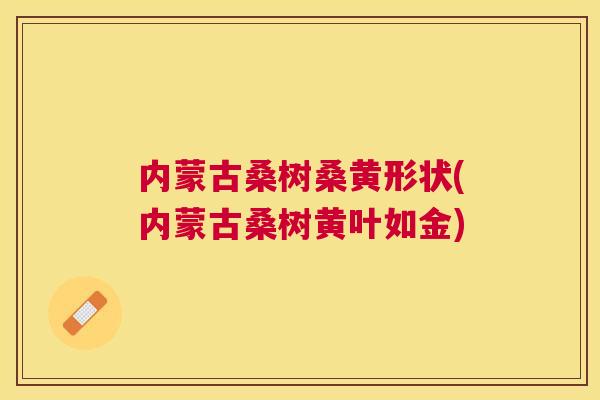 内蒙古桑树桑黄形状(内蒙古桑树黄叶如金) 内蒙古桑树桑黄形状(内蒙古桑树黄叶如金)