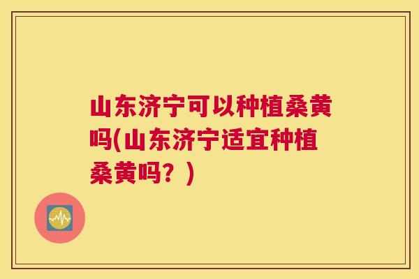 山东济宁可以种植桑黄吗(山东济宁适宜种植桑黄吗?) 山东济宁可以种植桑黄吗(山东济宁适宜种植桑黄吗?)