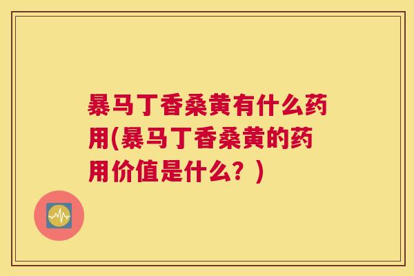 暴马丁香桑黄有什么药用(暴马丁香桑黄的药用价值是什么？)