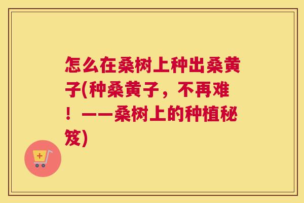 怎么在桑树上种出桑黄子(种桑黄子,不再难!——桑树上的种植秘笈) 怎么在桑树上种出桑黄子(种桑黄子,不再难!——桑树上的种植秘笈)