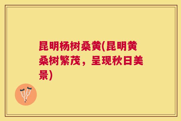 昆明杨树桑黄(昆明黄桑树繁茂,呈现秋日美景) 昆明杨树桑黄(昆明黄桑树繁茂,呈现秋日美景)