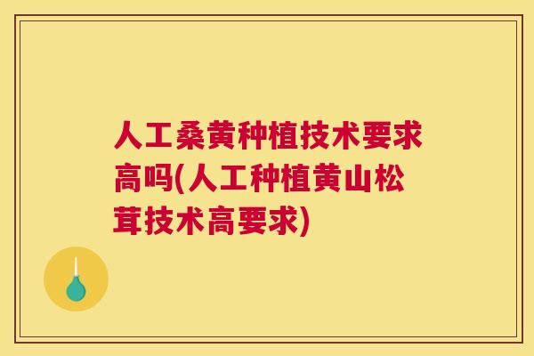 人工桑黄种植技术要求高吗(人工种植黄山松茸技术高要求) 人工桑黄种植技术要求高吗(人工种植黄山松茸技术高要求)