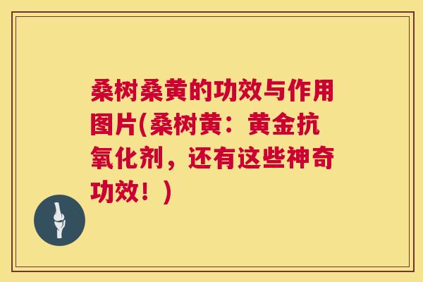 桑树桑黄的功效与作用图片(桑树黄：黄金剂，还有这些神奇功效！)