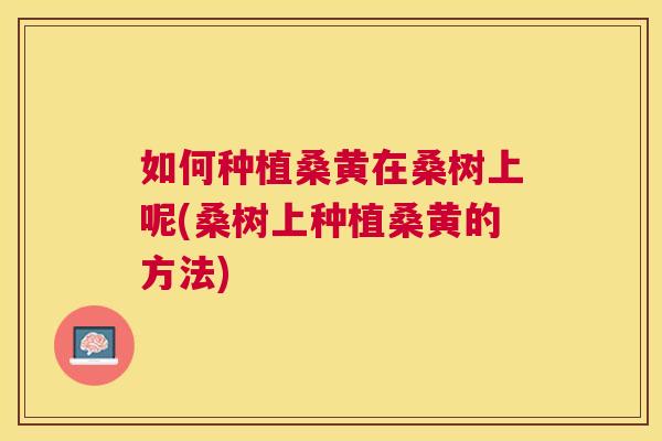 如何种植桑黄在桑树上呢(桑树上种植桑黄的方法) 如何种植桑黄在桑树上呢(桑树上种植桑黄的方法)