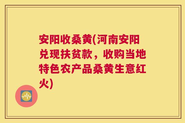 安阳收桑黄(河南安阳兑现扶贫款,收购当地特色农产品桑黄生意红火) 安阳收桑黄(河南安阳兑现扶贫款,收购当地特色农产品桑黄生意红火)