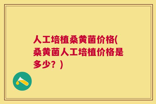 人工培植桑黄菌价格(桑黄菌人工培植价格是多少?) 人工培植桑黄菌价格(桑黄菌人工培植价格是多少?)