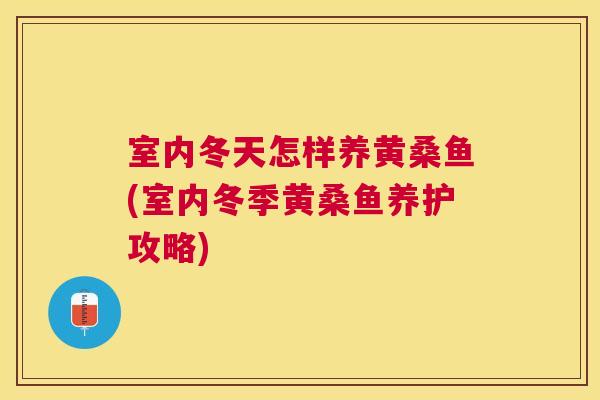 室内冬天怎样养黄桑鱼(室内冬季黄桑鱼养护攻略) 室内冬天怎样养黄桑鱼(室内冬季黄桑鱼养护攻略)