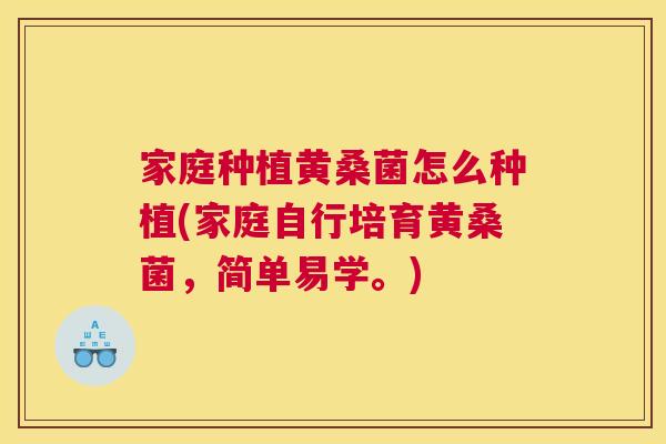 家庭种植黄桑菌怎么种植(家庭自行培育黄桑菌,简单易学。) 家庭种植黄桑菌怎么种植(家庭自行培育黄桑菌,简单易学。)