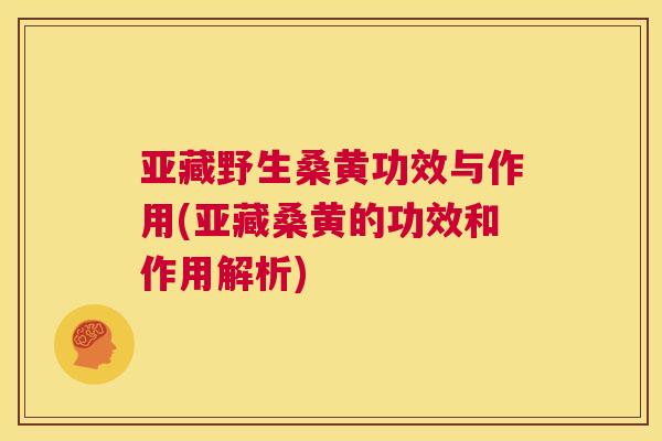 亚藏野生桑黄功效与作用(亚藏桑黄的功效和作用解析) 亚藏野生桑黄功效与作用(亚藏桑黄的功效和作用解析)