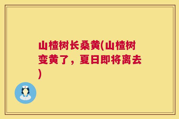 山楂树长桑黄(山楂树变黄了,夏日即将离去) 山楂树长桑黄(山楂树变黄了,夏日即将离去)