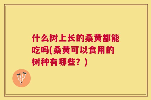 什么树上长的桑黄都能吃吗(桑黄可以食用的树种有哪些?) 什么树上长的桑黄都能吃吗(桑黄可以食用的树种有哪些?)