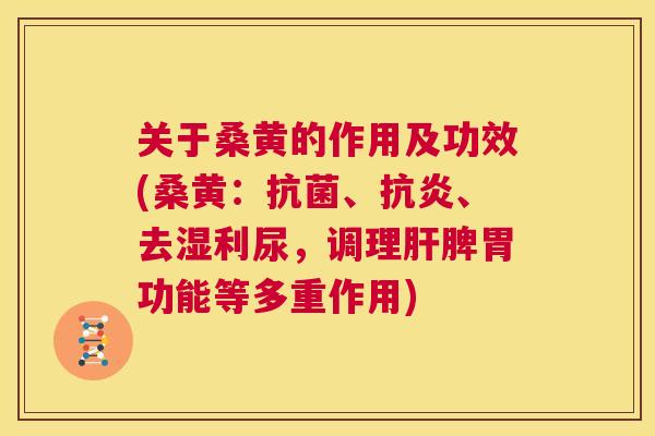 关于桑黄的作用及功效(桑黄:、、去湿利尿,调理脾胃功能等多重作用) 关于桑黄的作用及功效(桑黄:、、去湿利尿,调理脾胃功能等多重作用)