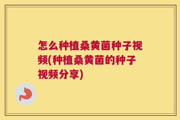 怎么种植桑黄菌种子视频(种植桑黄菌的种子视频分享) 怎么种植桑黄菌种子视频(种植桑黄菌的种子视频分享)