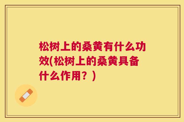 松树上的桑黄有什么功效(松树上的桑黄具备什么作用?) 松树上的桑黄有什么功效(松树上的桑黄具备什么作用?)