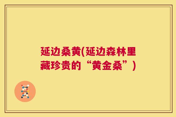 延边桑黄(延边森林里藏珍贵的“黄金桑”) 延边桑黄(延边森林里藏珍贵的“黄金桑”)