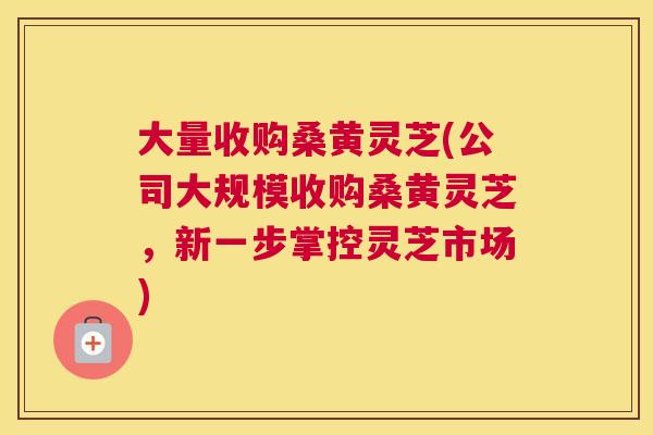 大量收购桑黄灵芝(公司大规模收购桑黄灵芝,新一步掌控灵芝市场) 大量收购桑黄灵芝(公司大规模收购桑黄灵芝,新一步掌控灵芝市场)