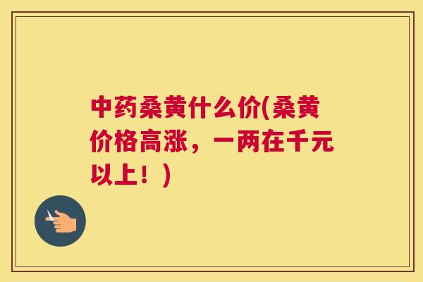 桑黄什么价(桑黄价格高涨,一两在千元以上!) 桑黄什么价(桑黄价格高涨,一两在千元以上!)