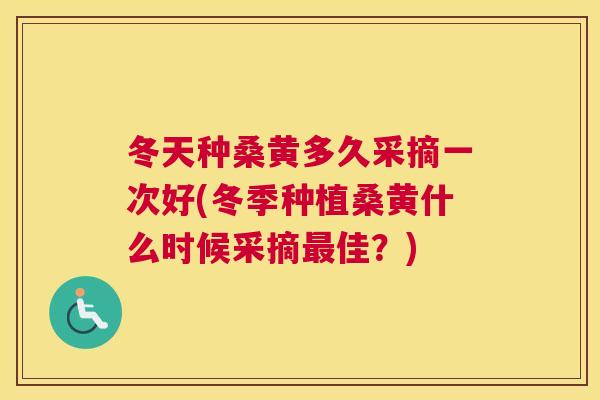 冬天种桑黄多久采摘一次好(冬季种植桑黄什么时候采摘佳?) 冬天种桑黄多久采摘一次好(冬季种植桑黄什么时候采摘佳?)