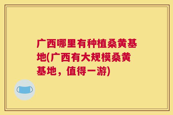 广西哪里有种植桑黄基地(广西有大规模桑黄基地,值得一游) 广西哪里有种植桑黄基地(广西有大规模桑黄基地,值得一游)