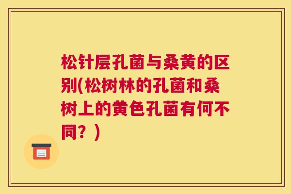 松针层孔菌与桑黄的区别(松树林的孔菌和桑树上的黄色孔菌有何不同?) 松针层孔菌与桑黄的区别(松树林的孔菌和桑树上的黄色孔菌有何不同?)